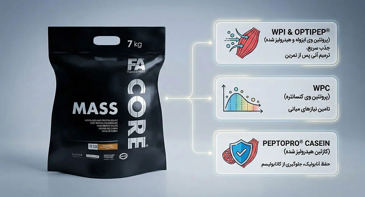 تحلیل ترکیبات کلیدی پودر گینر مس کور فا 7 کیلوگرم (FA Core Mass Gainer)؛ افزایش حجم و وزن سریع 