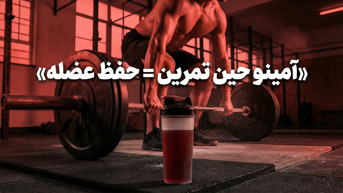 چرا بدون آمینو اسید، ساختمان عضلانی شما فرو می ریزد؟