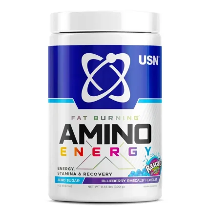 پودر آمینو انرژی چربی‌سوز یو اس ان (USN Amino Energy x) وزن 300 گرم